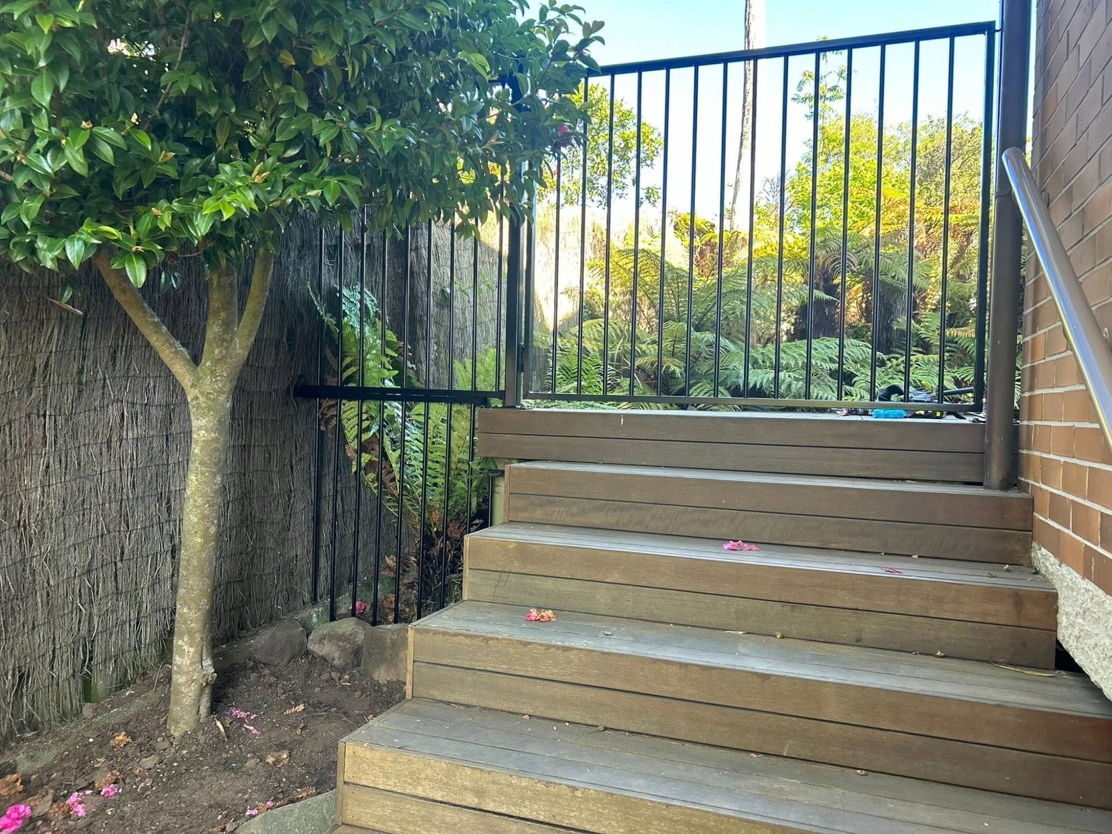 Timber deck and metal balustrade Dunedin